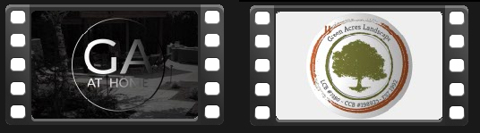 motion examples